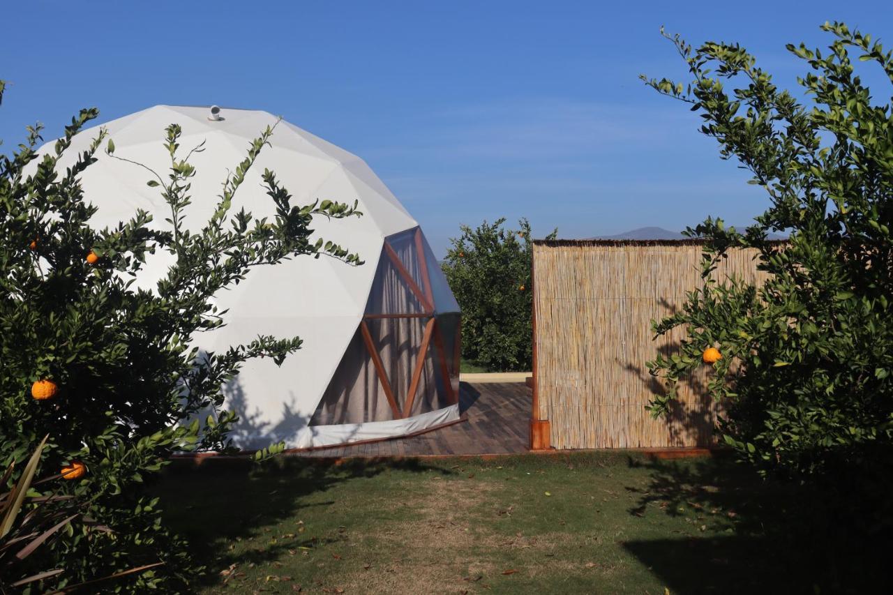 Mandalin Glamping Hotell Selçuk Exteriör bild