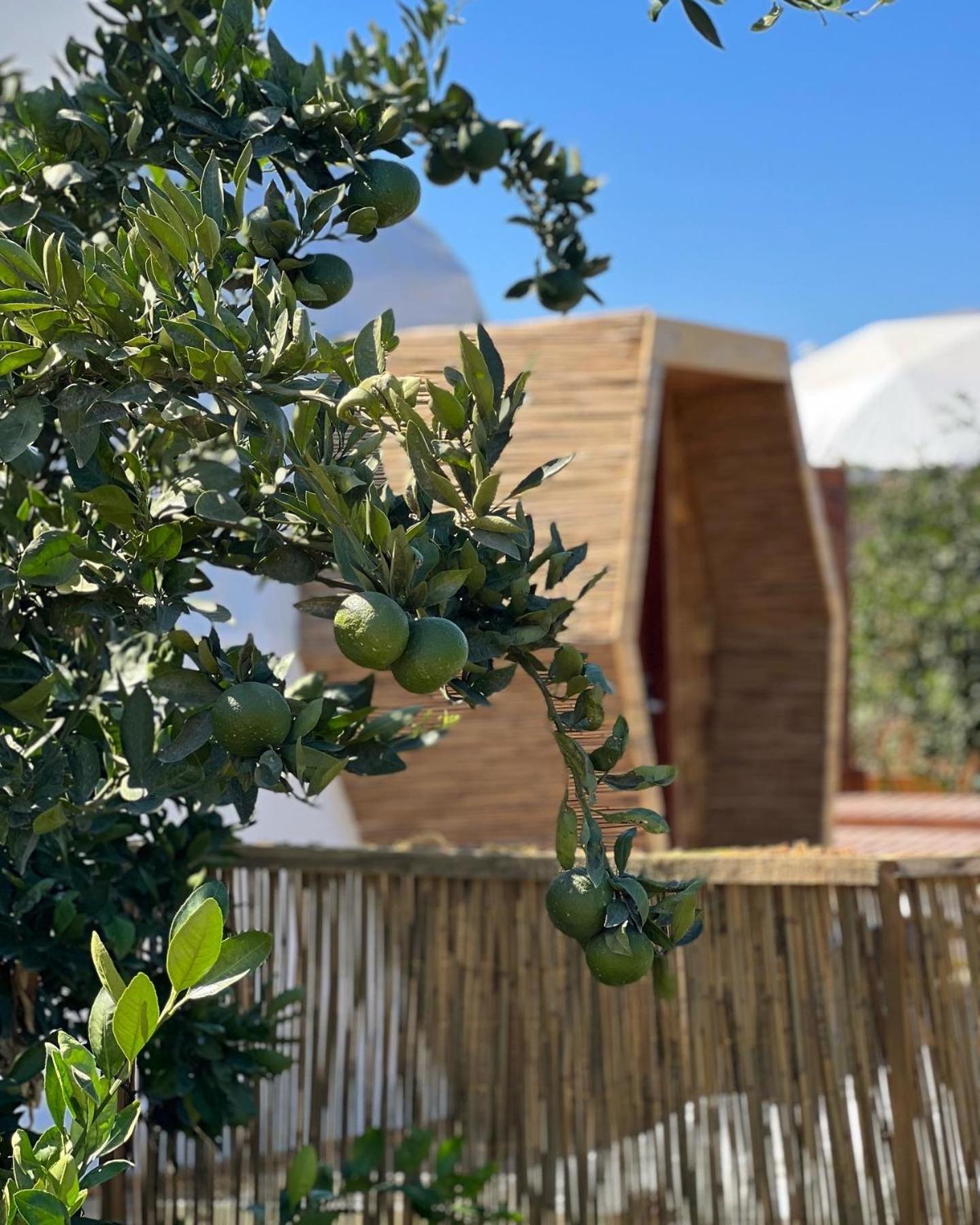 Mandalin Glamping Hotell Selçuk Exteriör bild