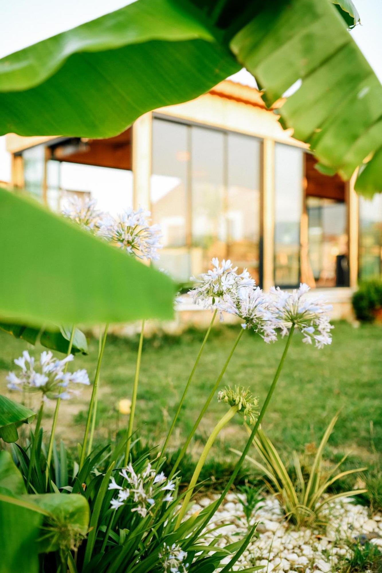 Mandalin Glamping Hotell Selçuk Exteriör bild